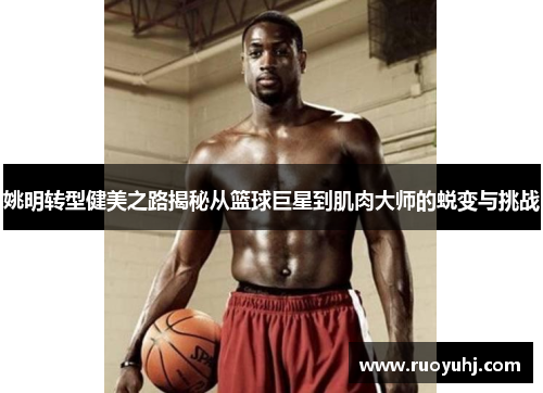 姚明转型健美之路揭秘从篮球巨星到肌肉大师的蜕变与挑战